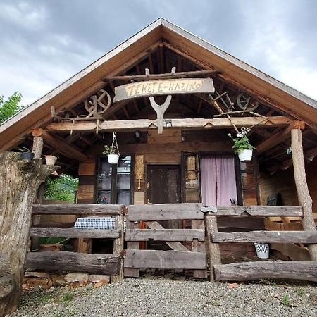 Casa Rustic Feher & Fekete Vendeghazak Sovata Buitenkant foto