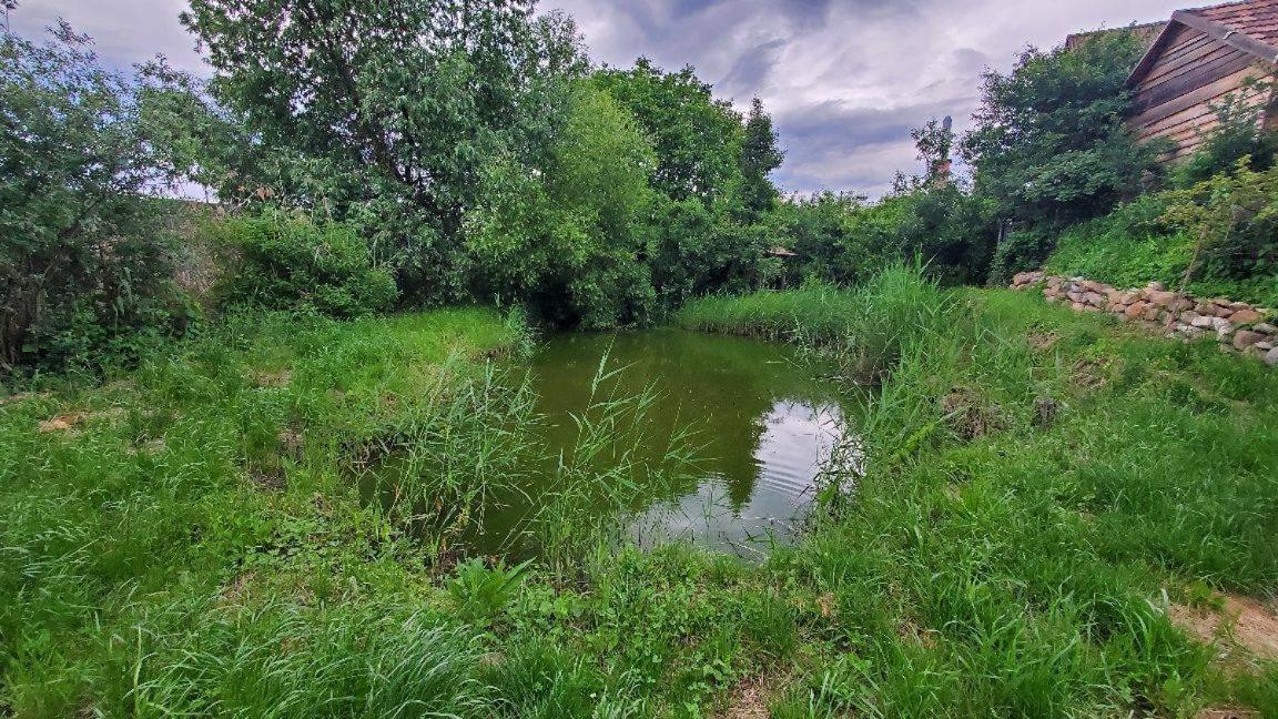 Casa Rustic Feher & Fekete Vendeghazak Sovata Buitenkant foto