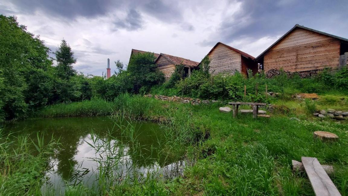 Casa Rustic Feher & Fekete Vendeghazak Sovata Buitenkant foto