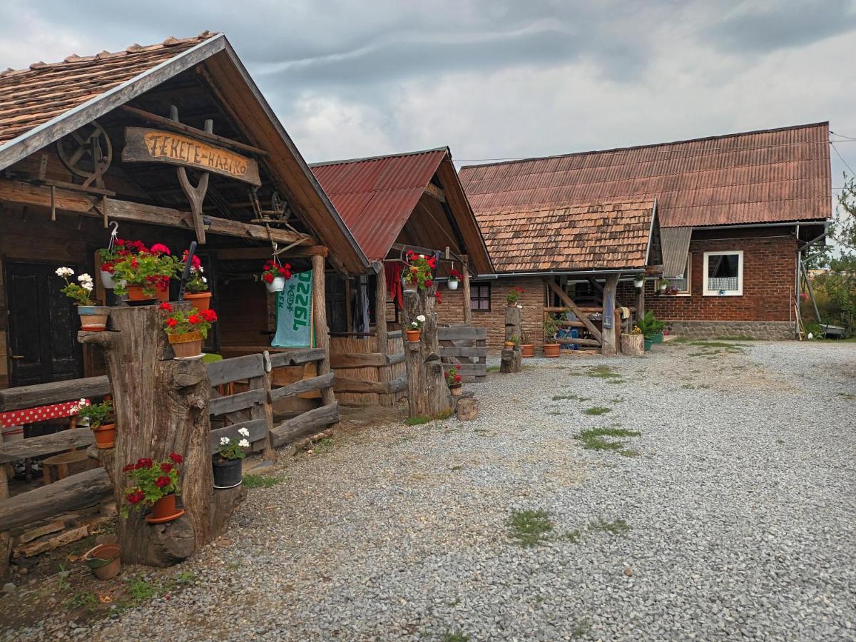 Casa Rustic Feher & Fekete Vendeghazak Sovata Buitenkant foto